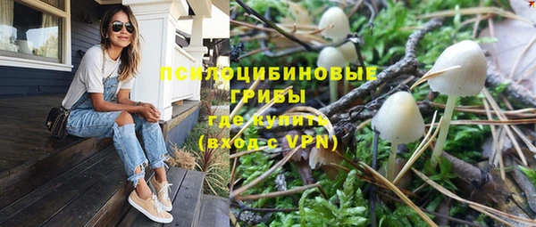 мескалин Верхний Тагил