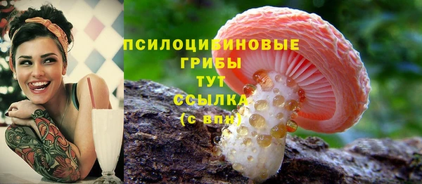 мескалин Верхний Тагил