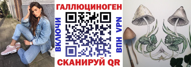 Псилоцибиновые грибы мицелий  Орехово-Зуево 